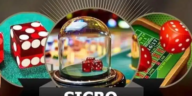 Đã đến với sảnh DG casino thì không nên bỏ qua sicbo