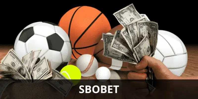 Giới thiệu cơ bản về sảnh SBOBET tại King88