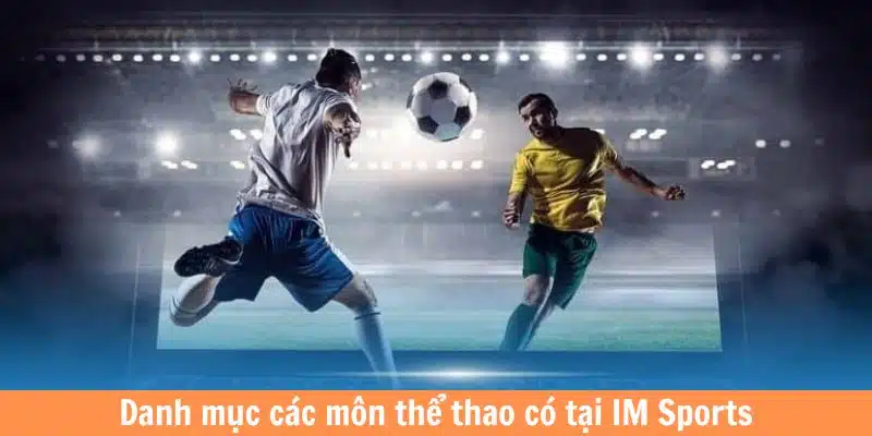 Danh mục các môn thể thao có tại IM Sports