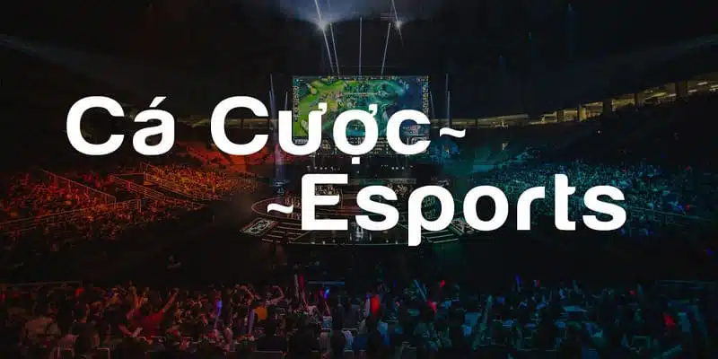 Cá cược Esports xanh chín và được ưa chuộng