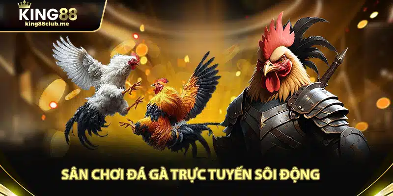 Sân chơi đá gà trực tuyến chuyên nghiệp